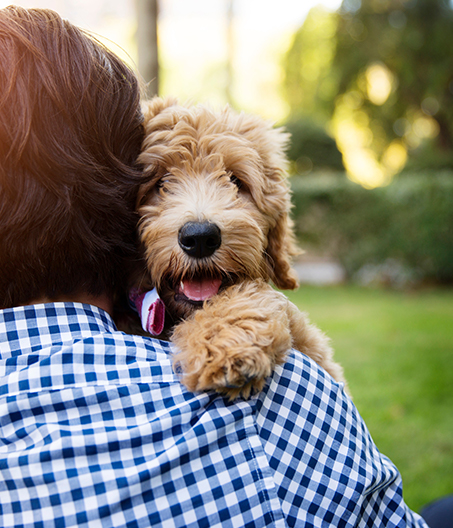 愛犬と楽しんでいる様子