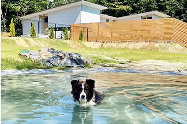 犬と一緒に遊ぶ様子