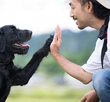 ドッグガーデンでおもちゃを咥える犬